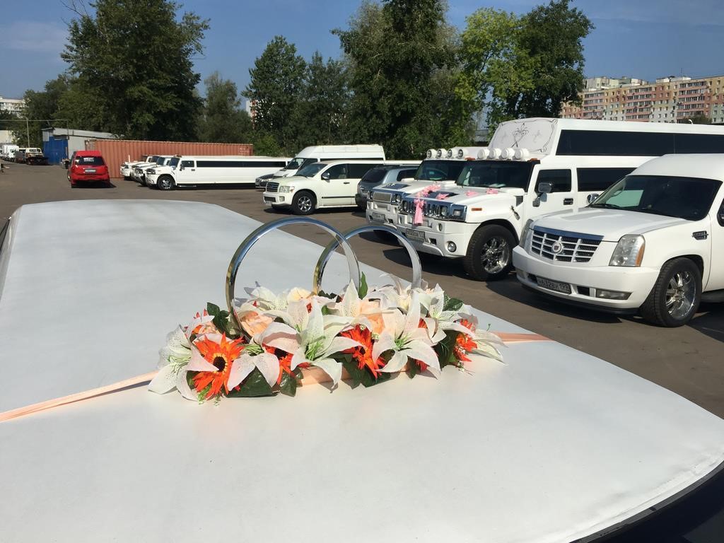 Свадебные кольца на крышу автомобиля